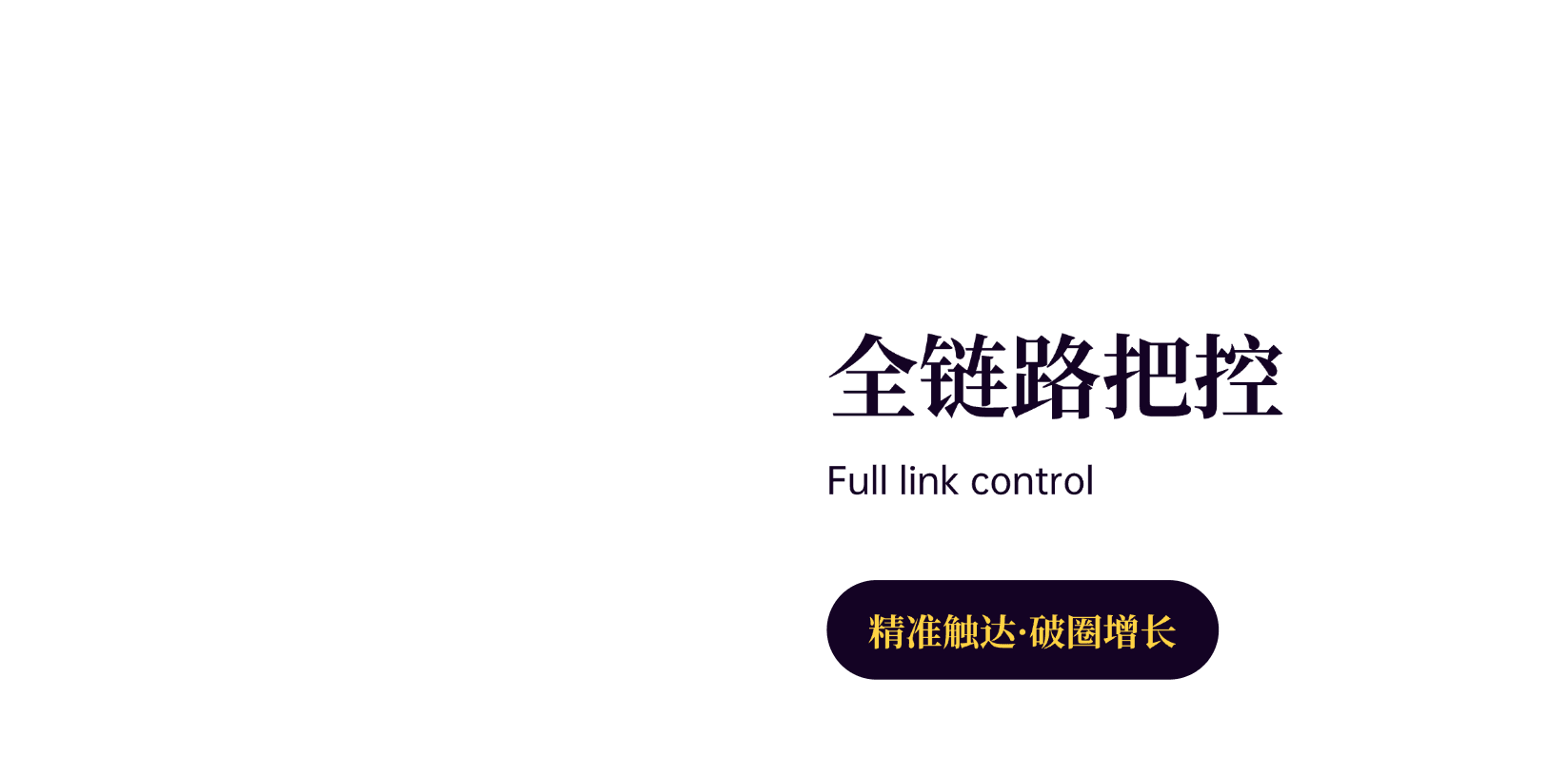 品牌展示图 14